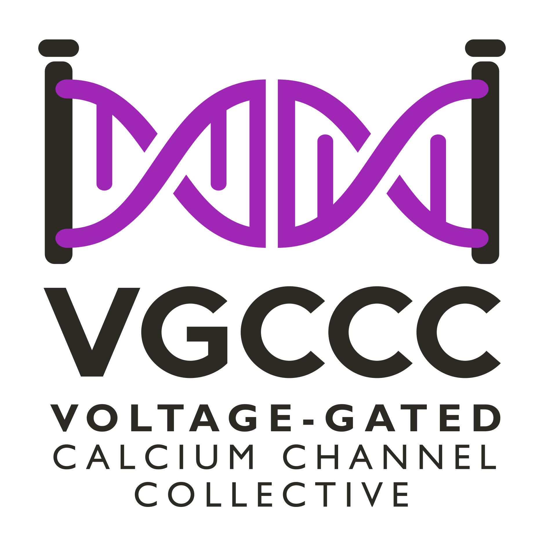 The Voltage Gated Calcium Channel Collective (VGCCC)